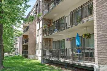 Terrasse Angrignon photo 4