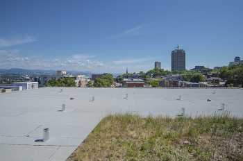 La Passerelle photo 6