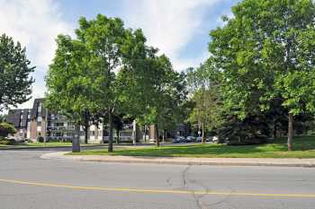 Terrasse Angrignon photo 3